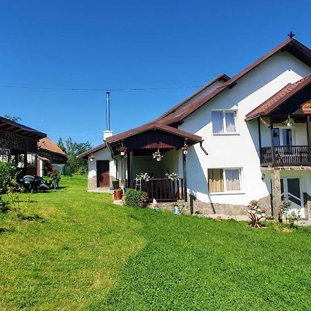 Pensjonat Casa Elena Bran  Zewnętrze zdjęcie