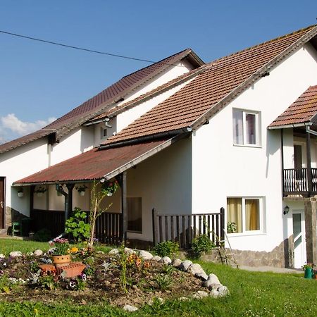 Pensjonat Casa Elena Bran  Zewnętrze zdjęcie