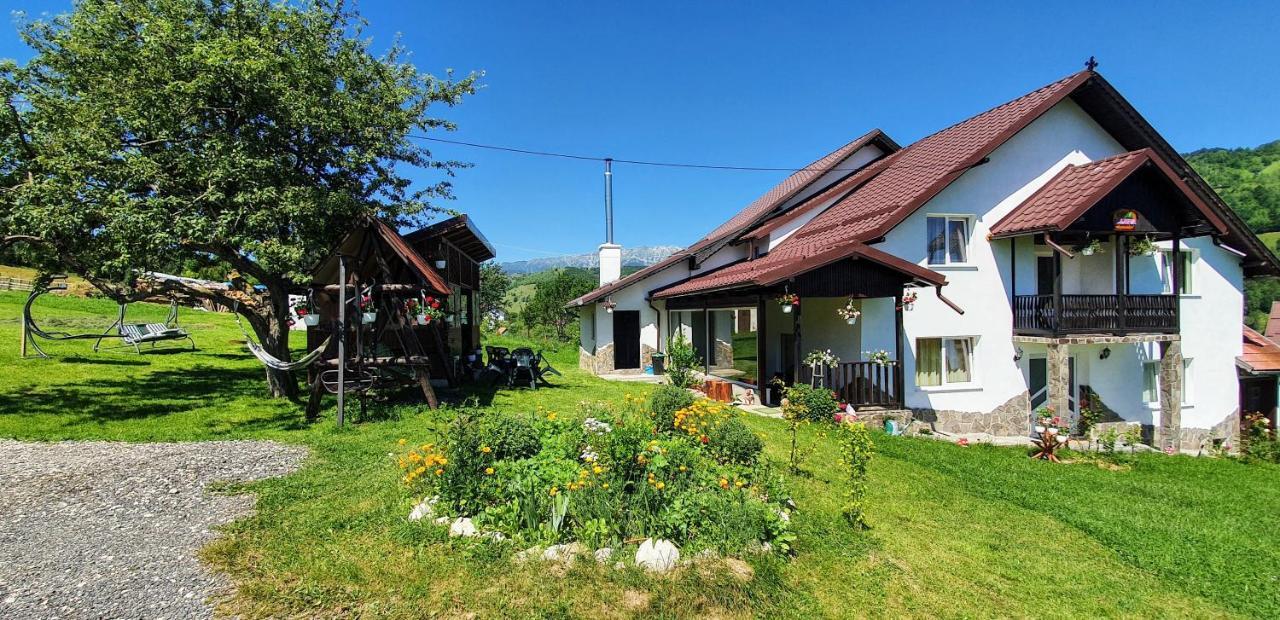 Pensjonat Casa Elena Bran  Zewnętrze zdjęcie