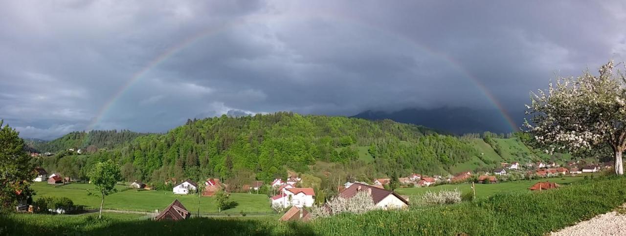 Pensjonat Casa Elena Bran  Zewnętrze zdjęcie
