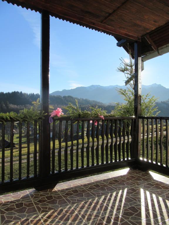Pensjonat Casa Elena Bran  Zewnętrze zdjęcie