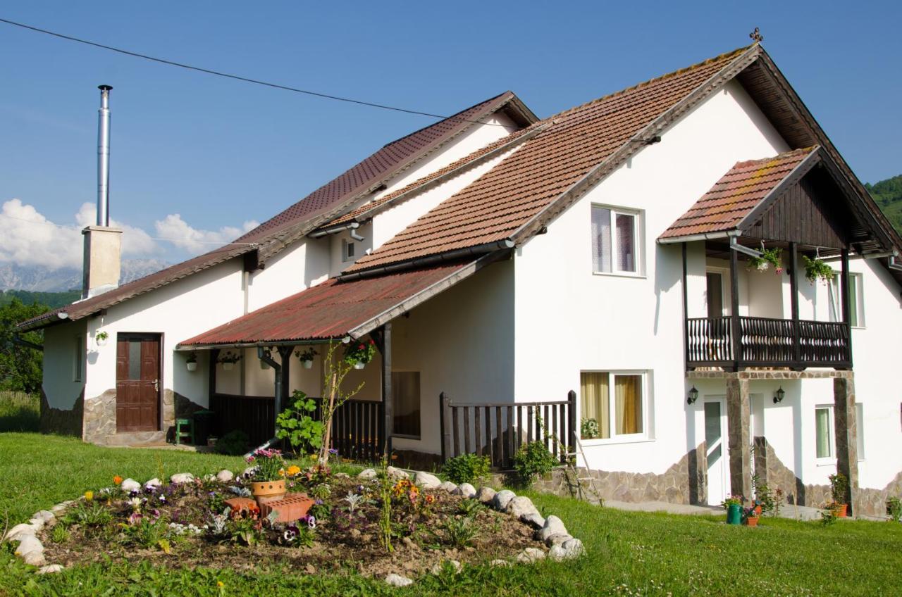 Pensjonat Casa Elena Bran  Zewnętrze zdjęcie