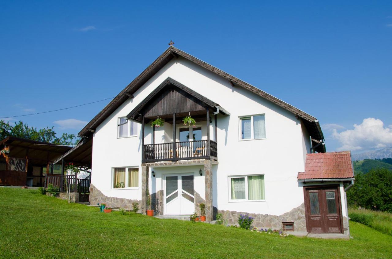 Pensjonat Casa Elena Bran  Zewnętrze zdjęcie
